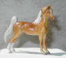 palomino