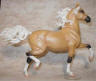 palomino