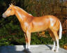 palomino