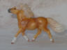 palomino
