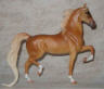 palomino