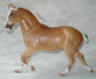 dappled palomino