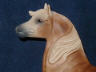 dappled palomino