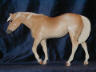palomino