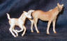 palomino and palomino pinto