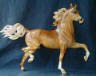 dappled palomino