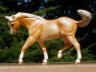 palomino