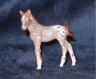red roan appy