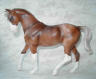 chestnut pinto