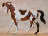 dappled bay pinto