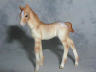 dun appaloosa