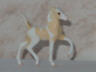 palomino pinto