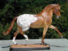 dappled chestnut appaloosa