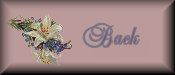 Back to the main page