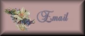 Send me email! :o)