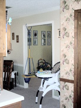 Looking into Diningroom