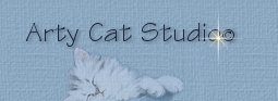 Arty Cat Studio