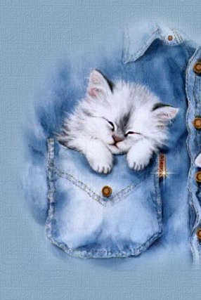 Pockets of Love