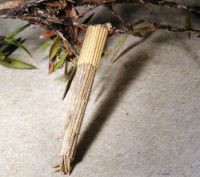 thumbnail image of subject