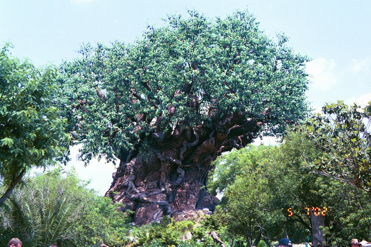 Animal Kingdom