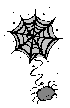 spider