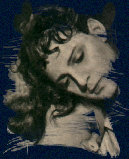 jeanpierreaumont007.jpg