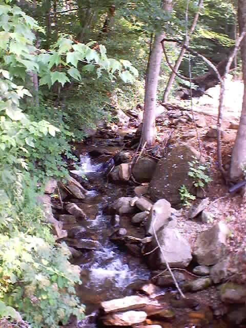 A Creek Runs Through It