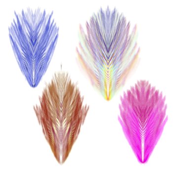 Feather Set 3