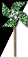 Pinwheel 4
