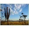 Bega_River_Flats.jpg