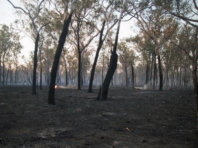 Drysdale River Station
