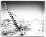 Vermine proof fence