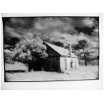 Infrared_01.jpg