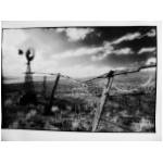 Infrared_03.jpg