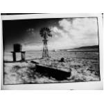 Infrared_04.jpg