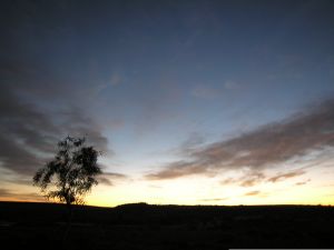 Station Creek 01