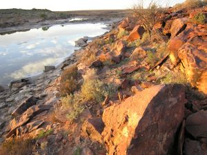 Station Creek 05
