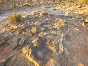Station Creek 06