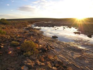 Station Creek 07