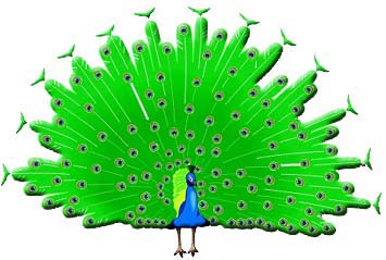 Watch your step. There are more than just feathers on the floor.