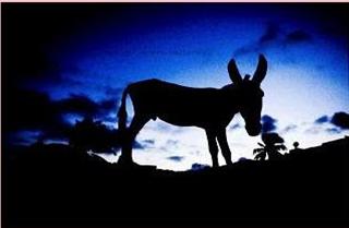 http://3.bp.blogspot.com/_HpNkCEy5nBs/S7DSstGSSeI/AAAAAAAAEF0/SxM3hyLZIBY/s400/ASNO,BURRO,NOCHE.jpg