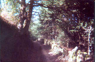 Un sentier de randonn&eacute;e