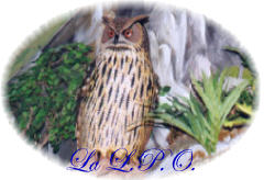 La L.P.O.