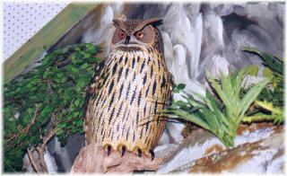 Des oiseaux sculpt&eacute;s de fa&ccedil;on tr&egrave;s fid&egrave;le. Le grand Duc, super pr&eacute;dateur des gorges de l'Allier.