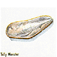 tully monster