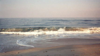 Click for "Fishin OBX" page.