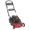 mower.jpg (2664 bytes)