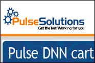 Pulse Solutions - Get the Net Working for you