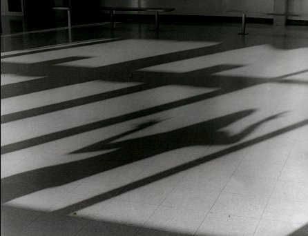 /user/shadow.jpg