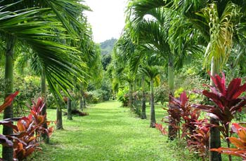 botanic